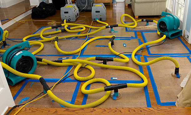Professional Flood Damage Restoration technician working in Hometown, IL
